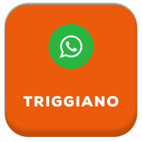 TriggianoICON